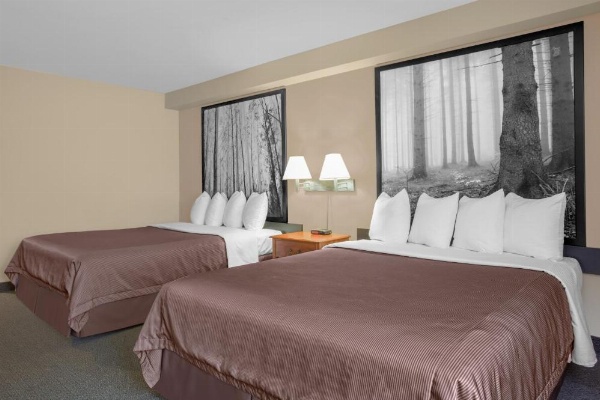 Super 8 de Wyndham Sault Ste Marie On image 26