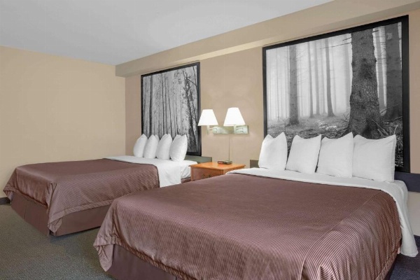 Super 8 de Wyndham Sault Ste Marie On image 9